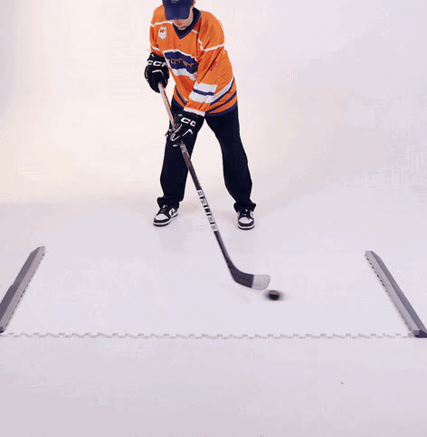 Best Digital Stickhandling Trainers