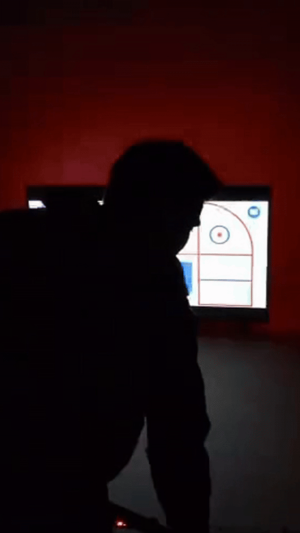P2 Dynamic Gameplay on the DangleElite app